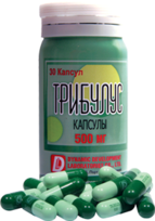 ТРИБУЛУС